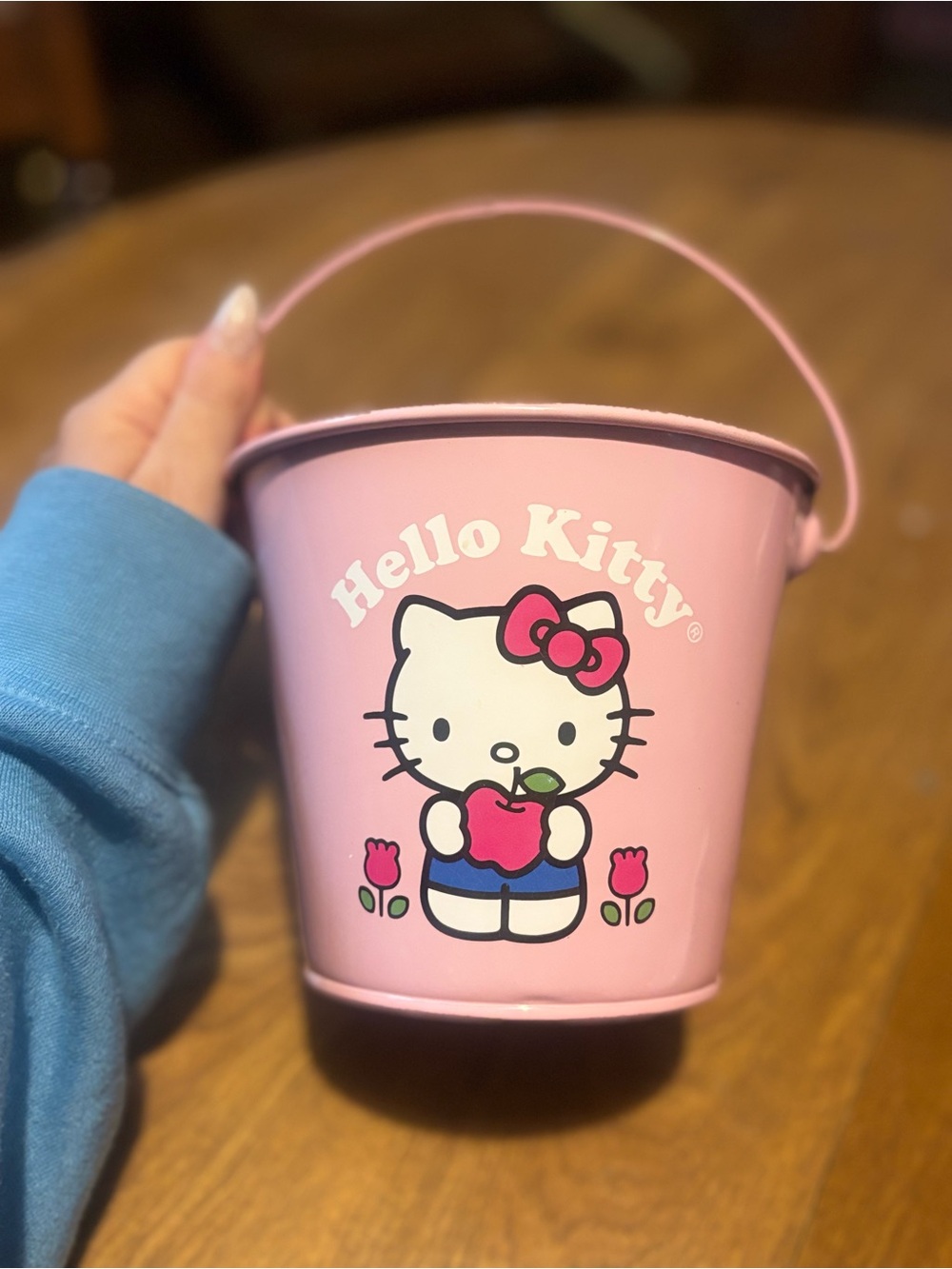 Hello Kitty Pink Metal Bucket with Multicolor Print